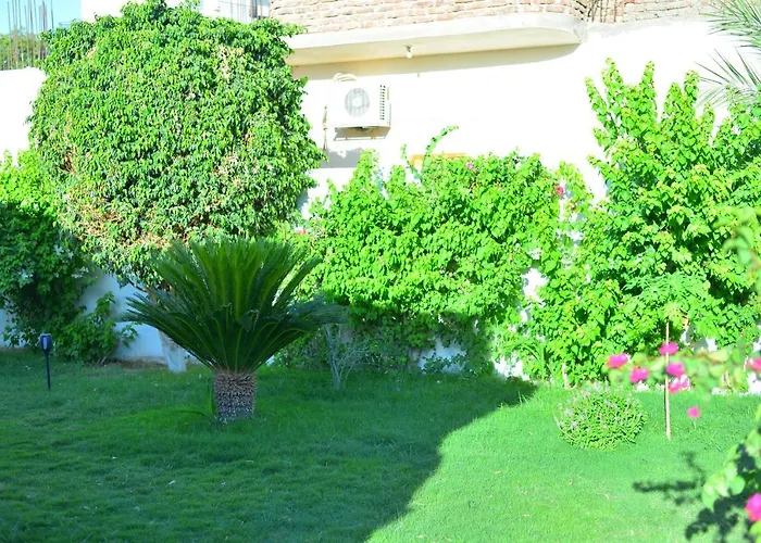 Luxor Rose Villa